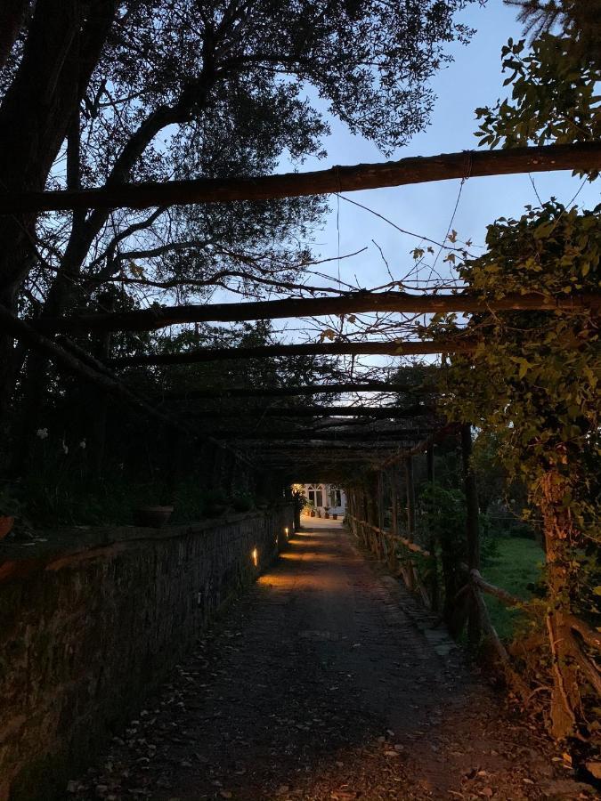 Sunrise Luxury Experience Bed & Breakfast Piano di Sorrento Exterior foto
